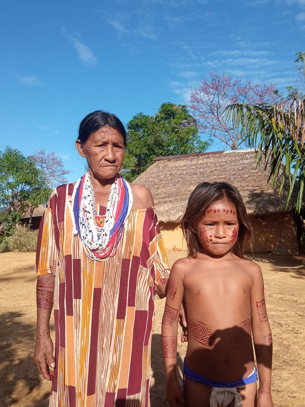 Miniatura: Salto Duruhuaya / 6D/5N