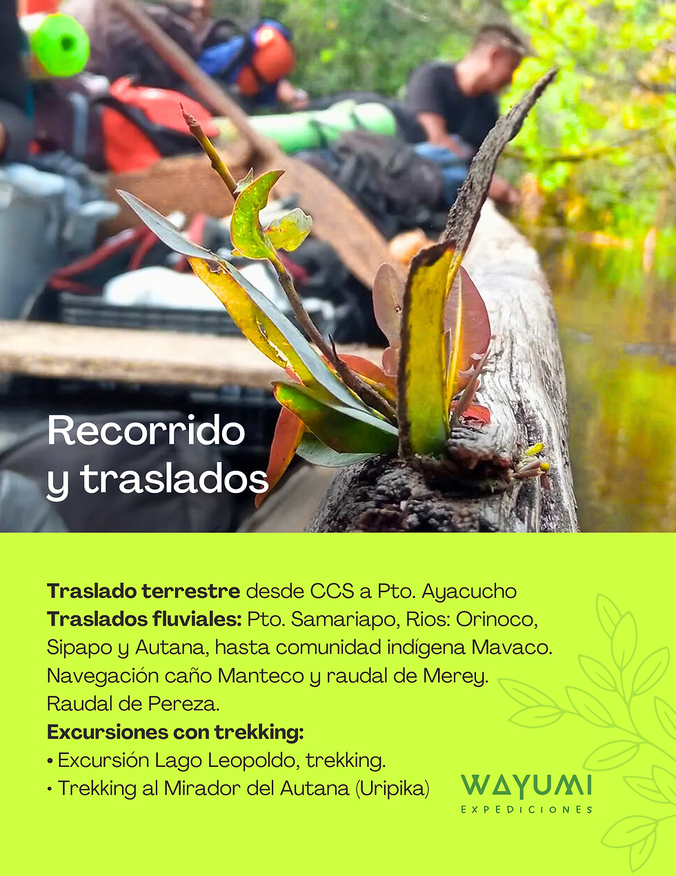 Miniatura: Autana y Lago Leopoldo / 8D/7N