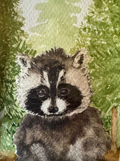 black and white raccoon with a background of green trees
