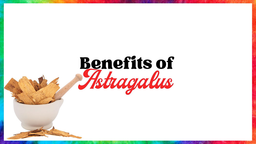 Benefits of Astragalus