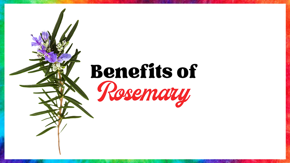 Benefits Of Rosemary