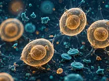 PRP for Knee Arthritis: What the Research Actually Shows