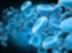 Human cells are used in Platelet-Rich Plasma (PRP) therapy.