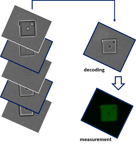 auto focusing.png