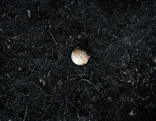 white golf ball 001.jpeg