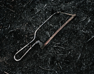 saw 001.jpeg