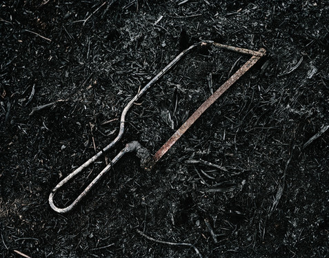 saw 001.jpeg