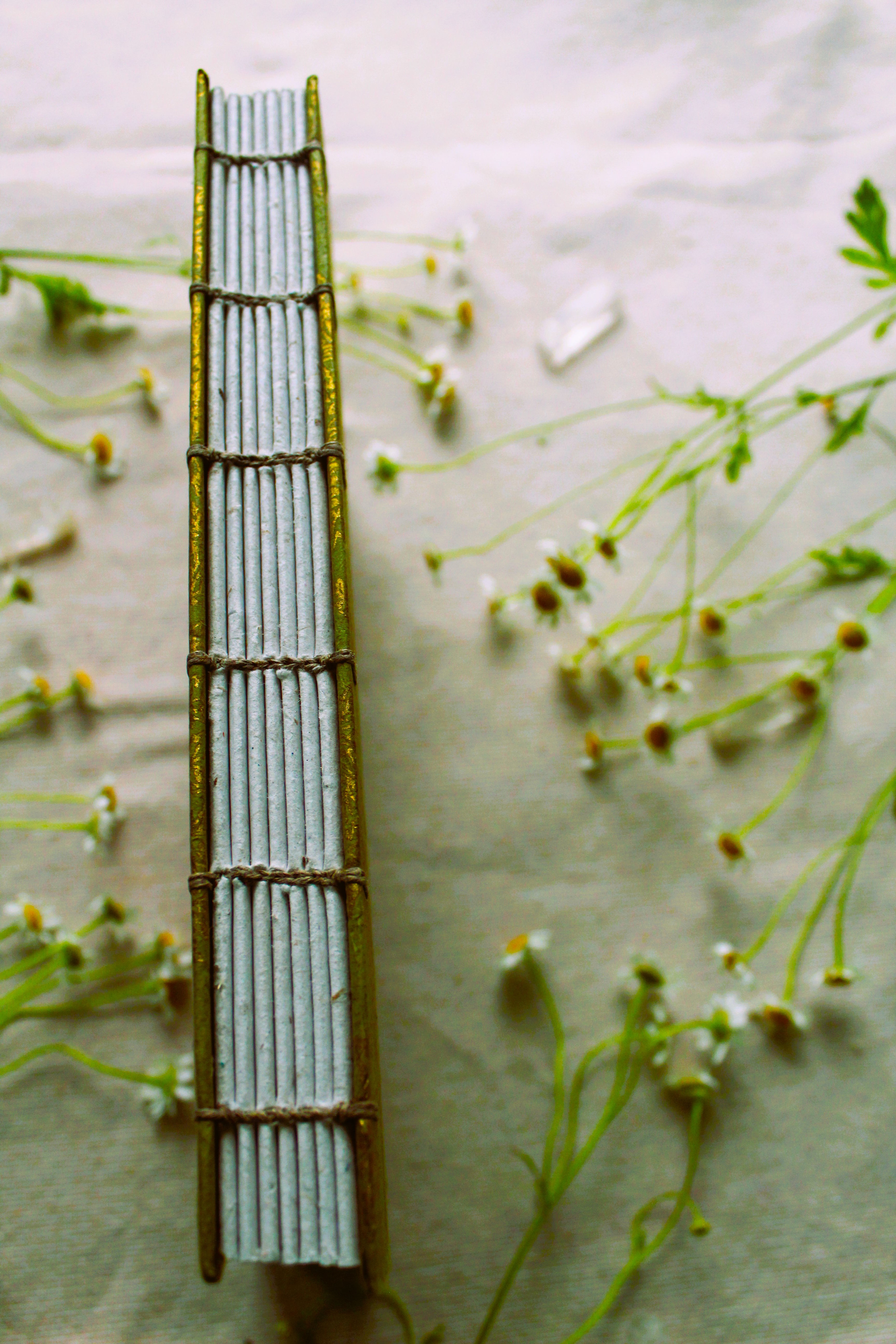 Botanical Daydream Journal