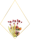 Untitled design (7).png