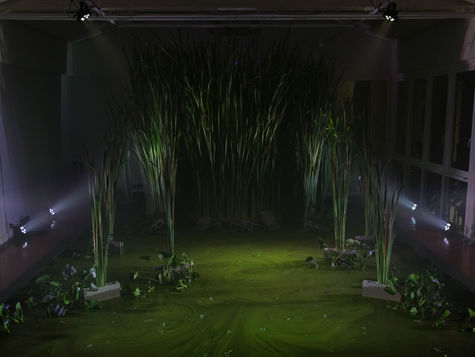 THE FORBIDDEN MARSH: AN ART INSTALLATION BY NARAPHAT SAKARTHORNSAP