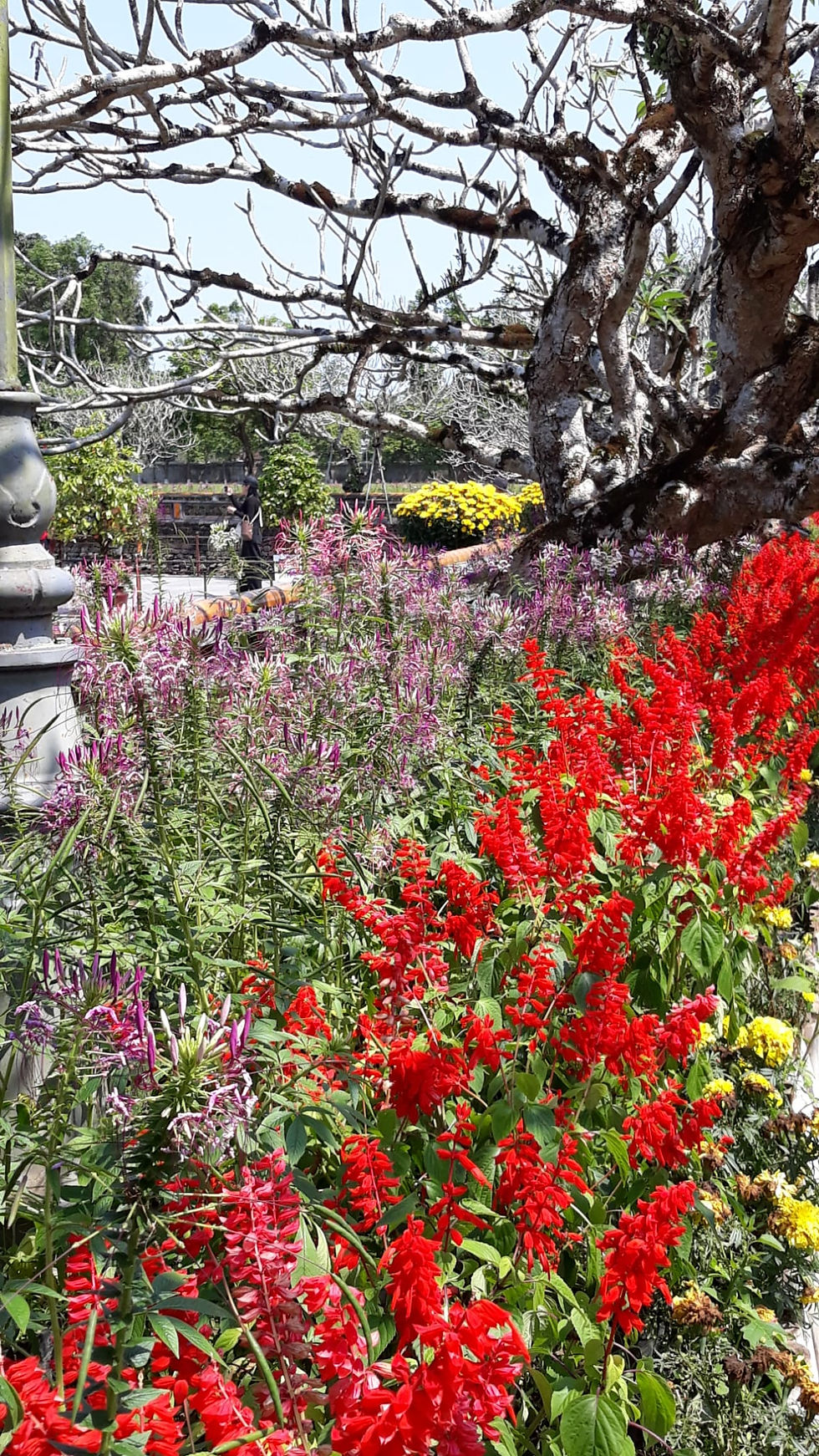 MULTIPLE SPENDOURS: KUNDALINI YOGA WORKSHOP