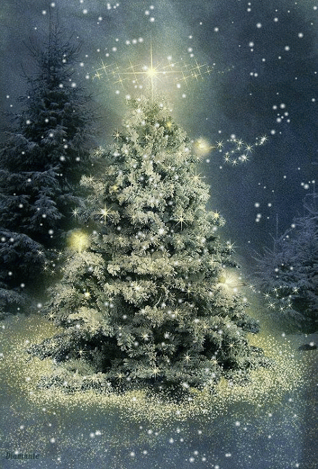 christmas tree w snow gif.gif