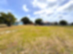 ARIP02 - Income-Generating Units on 0.501 Acre Lot