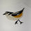 Thumbnail: Masked Shrike - original collage
