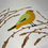 Thumbnail: Feathered Fall Friend- original collage