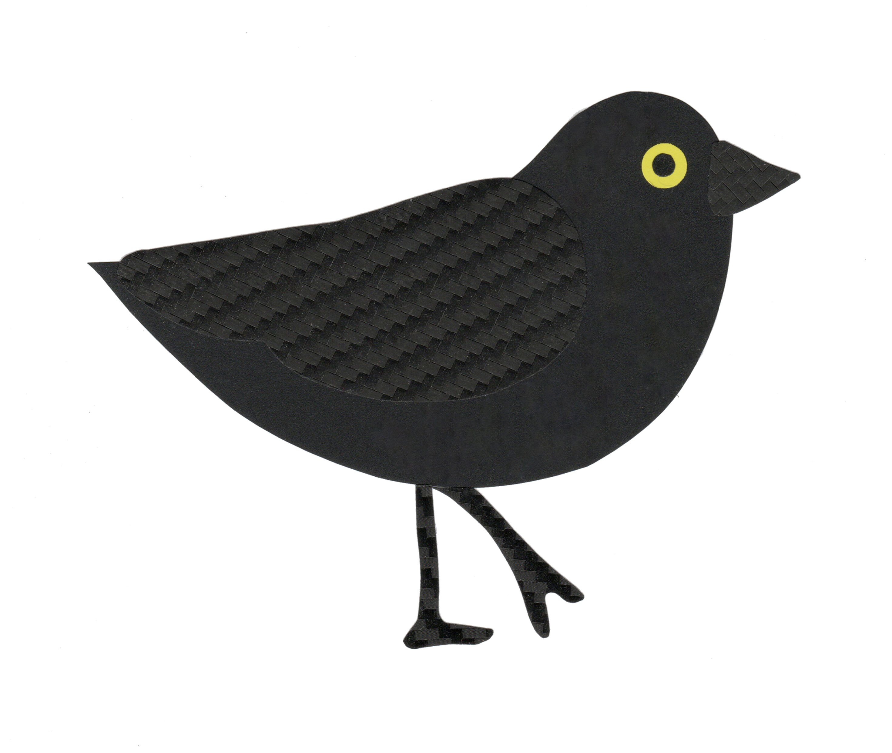 Eurasian Jackdaw - original collage