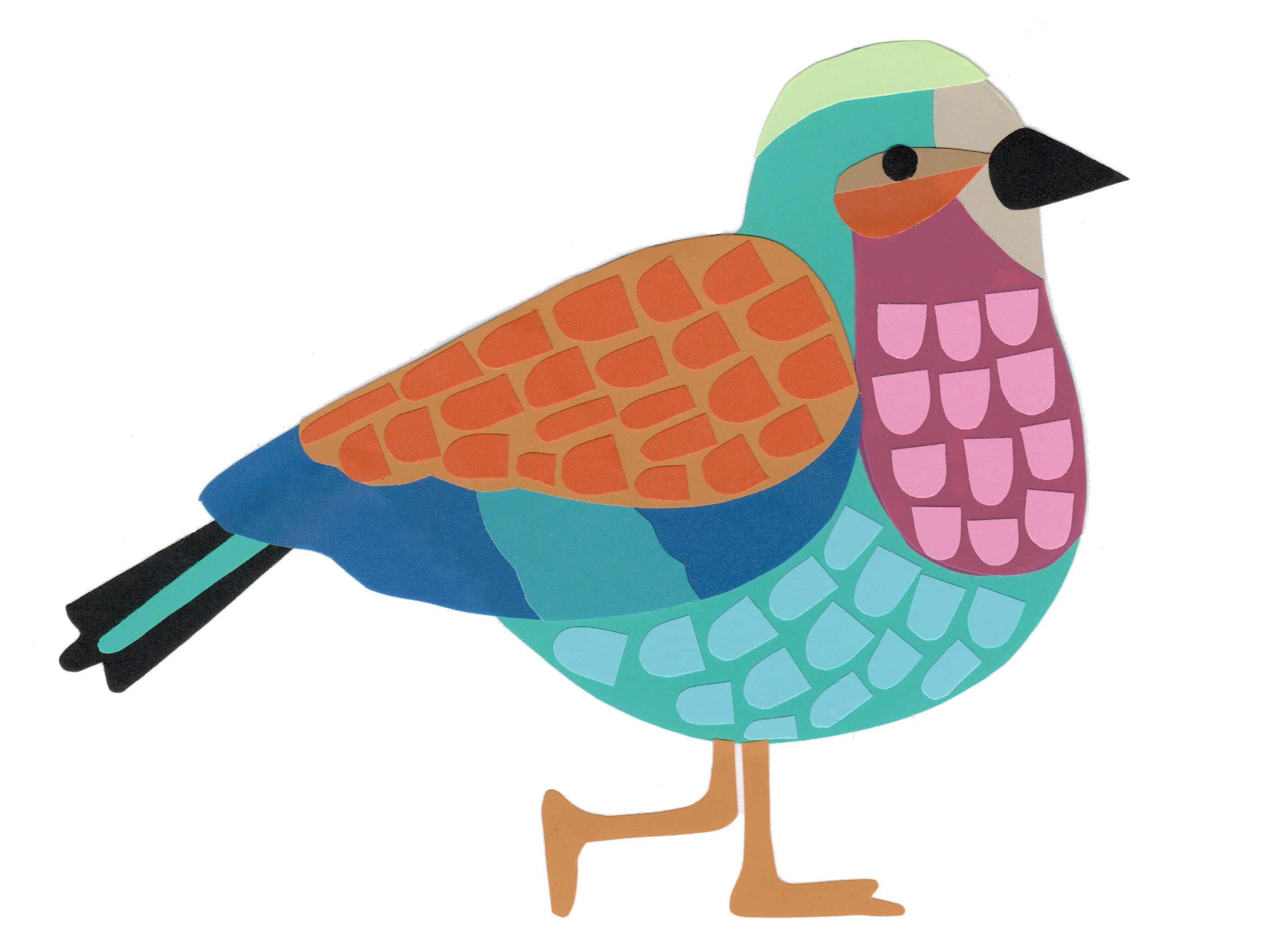 Lilac Breasted Roller - original collage