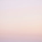 Pink Gradient_edited.jpg