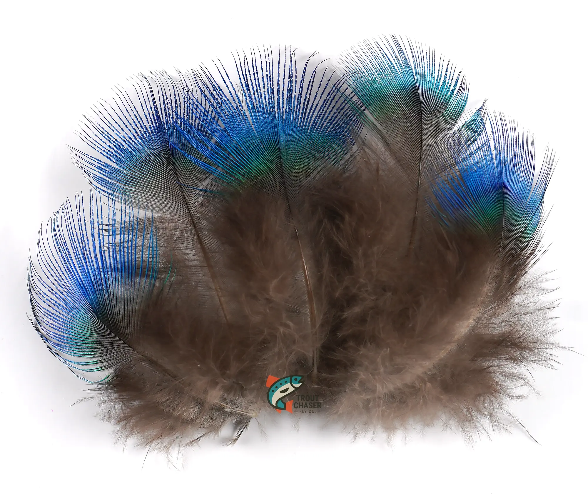 Natural Blue Peacock Body Plumage Feathers