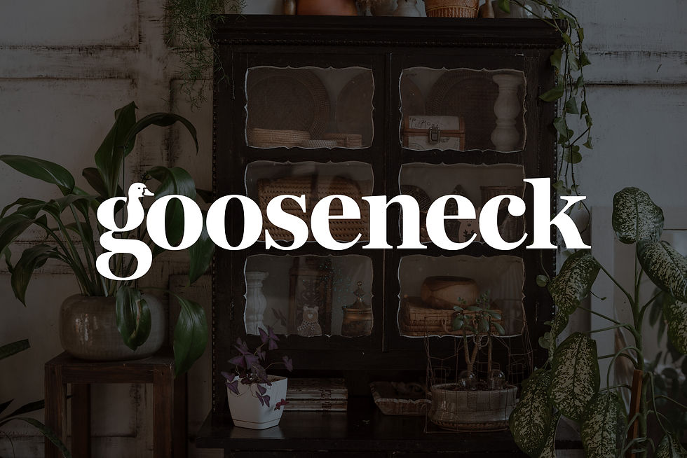 gooseneck antiques header image