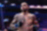 The Austrian Powerhouse Aleksandar Rakić Plans to Dominate Magomed Ankalaev at UFC 308 this Saturday