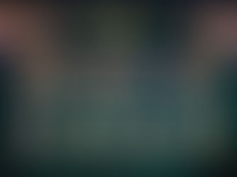 Two titles on the line, 11 nations represented: BRAVE CF releases Full Fight Card for Mega Event in Slovenia, BRAVE CF 88