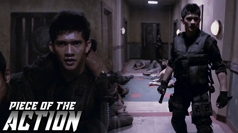 Raid 2011 Poster