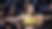 Karol Rosa's UFC Bantamweight’s Journey to Title Contention