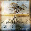 psychotherapy and counselling services psychotherapy, counselling, depression,anxiety, relationship problems,