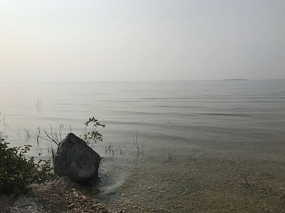 IMG_6577.jpeg