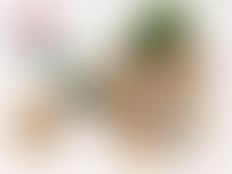 Are Eco-Friendly Packaging Solutions More Expensive?