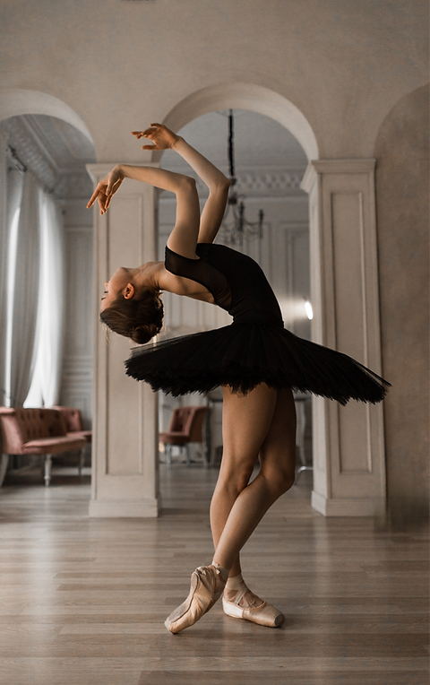 Lilac Fairy Leotard Mesh Cup Sleeve - Black at CapsuleBallet