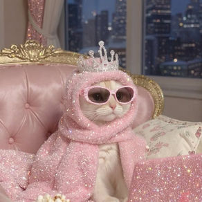 un chat avec une couverture rose en diamant