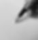 pexels-janson-a-753695.jpg