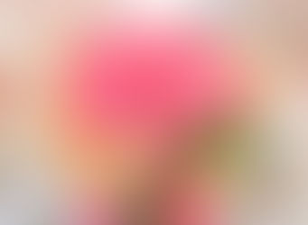 アドバンスコースで、愛されおもてなし空間づくり!