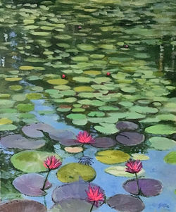 waterlilies_4_IMG_0564