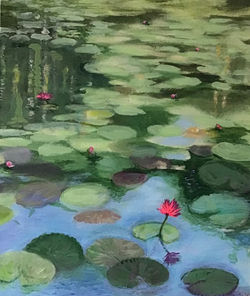 Waterlilies_5_IMG_0563