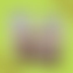 Mandorle in guscio? No, grazie!