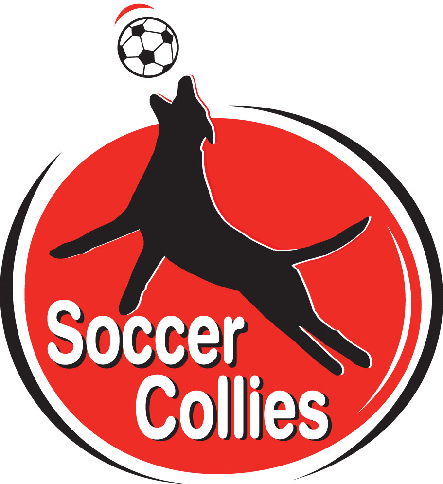Dog Soccer Games Soccer Collies