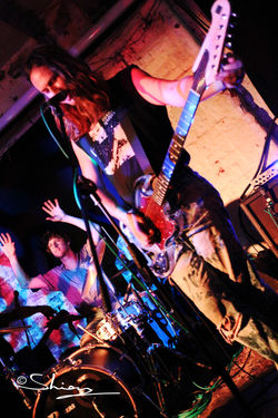 Jeff The Brotherhood