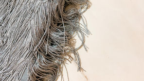 El básico y la moda