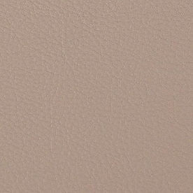 Prodigy Light Neutral