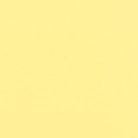 Allsport Bright Yellow