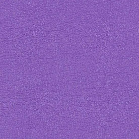 Allsport Brigh Violet