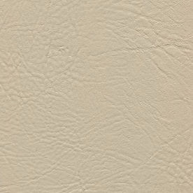 Tradewinds Coastal Sand