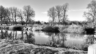 IMG_6247.jpeg