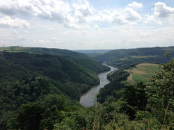 Waldhof-Falkenstein