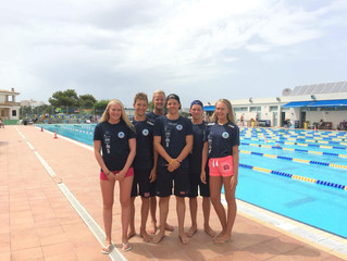 NM langbane 2016