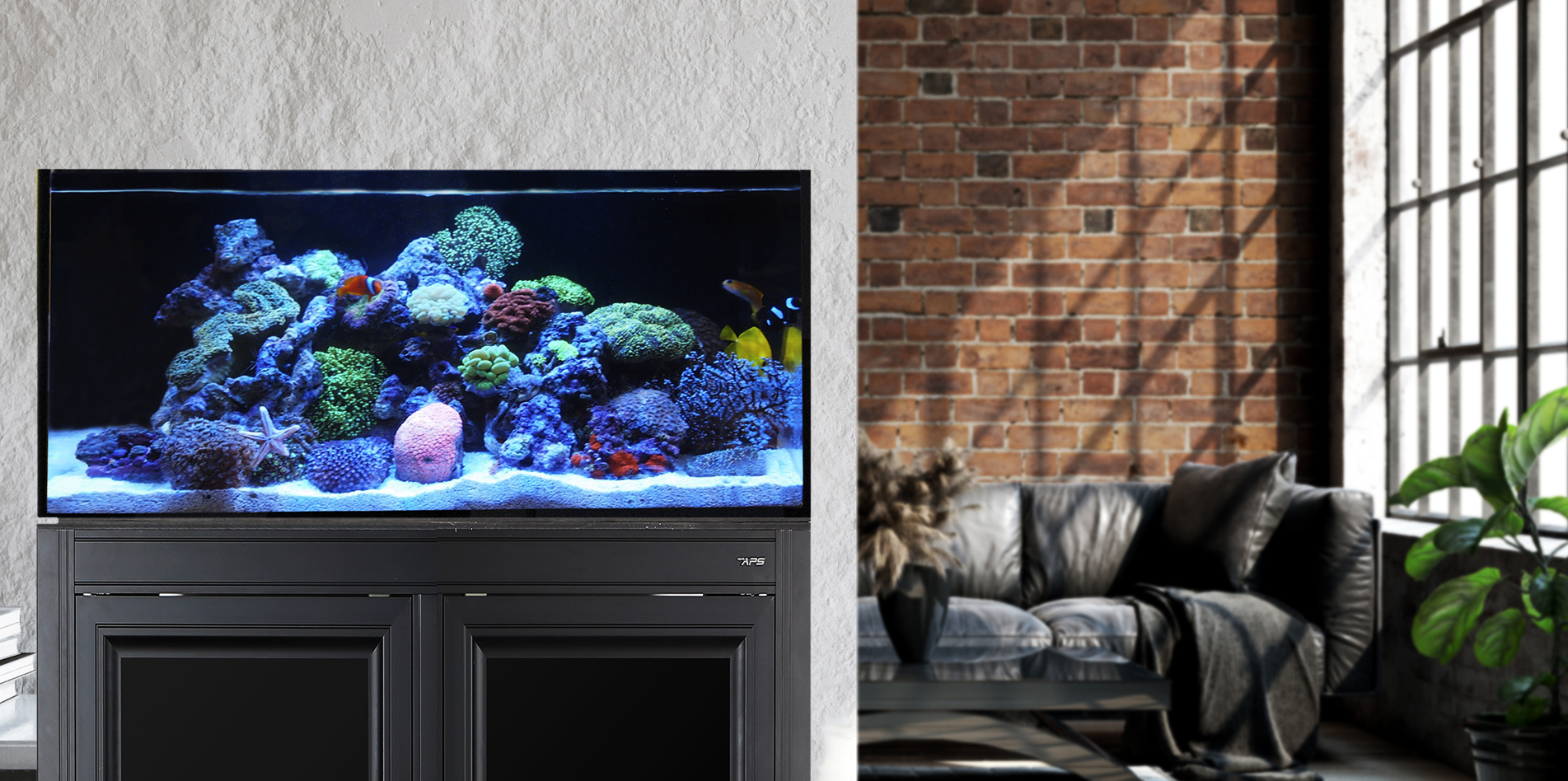 innovation marine aquarium innovation marine aquarium