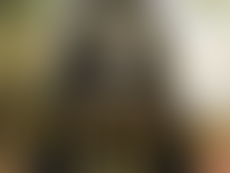 The Cover Art for The Wizards Cat, The Sequel to The Wizards Butler by Nathan Lowell